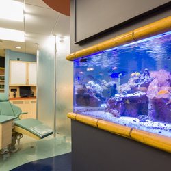 Wilson Ortho - Our clinic is situated around a 1300 gallon salt water reef aquarium!