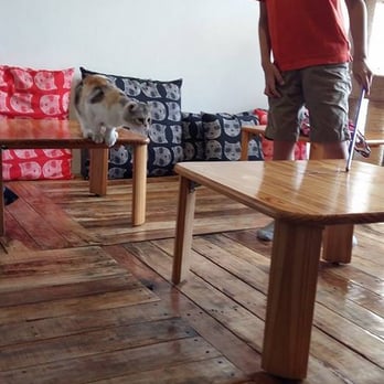 Miao Cat Cafe - Cafes Near Me - Quezon City, NCR Miao Cat Cafe - Cafes Near Me - Quezon City, NCR