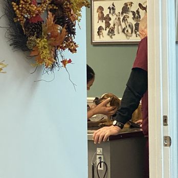 Pet Supplies Plus Virginia Beach - My pup getting A+ treatment. - Pet Stores Near Me - Virginia Beach, Virginia Pet Supplies Plus Virginia Beach - My pup getting A+ treatment. - Pet Stores Near Me - Virginia Beach, Virginia