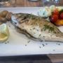 Photo of Brasserie des Alexiens