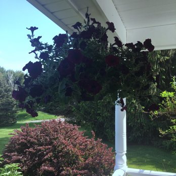 Dom's Garden Center - Healthy and full. That's hanging baskets are worth every penny. - Home & Garden Near Me - Danbury, Connecticut