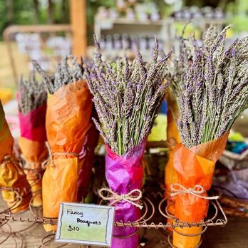 Wayward Winds Lavender Farm - Attraction Farms Near Me - Newberg, Oregon Wayward Winds Lavender Farm - Attraction Farms Near Me - Newberg, Oregon