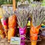 Photo of Wayward Winds Lavender Farm