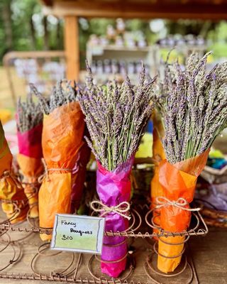 Wayward Winds Lavender Farm by null
