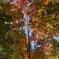 Queen's Park