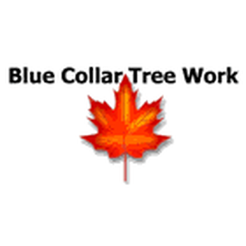 Blue Collar Tree Work - Tree Services Near Me - Victoria, British Columbia Blue Collar Tree Work - Tree Services Near Me - Victoria, British Columbia