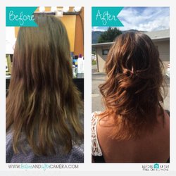 Salon 432