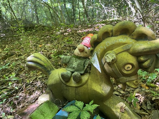 Doll's Head Trail by null