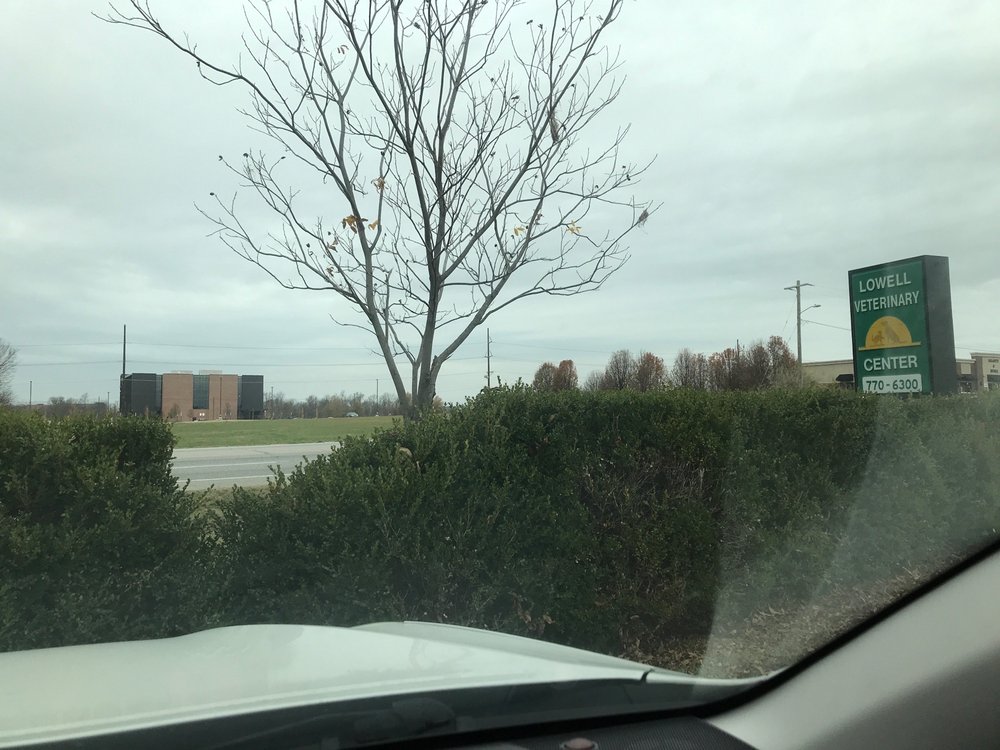 Photos of LOWELL VETERINARY CENTER Updated August 2024 12 Photos