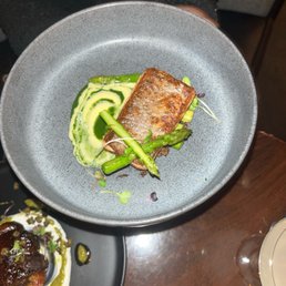 Salamon Salamon