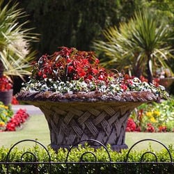Botanic Gardens - Flower Pot