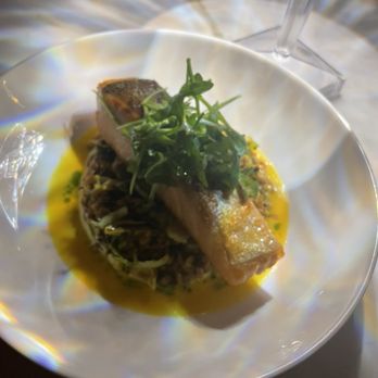 Vero Social - Red Snapper - Wine Bars Near Me - New York, New York Vero Social - Red Snapper - Wine Bars Near Me - New York, New York