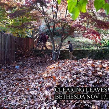 Khan Lawn Service - a man mowing leaves in the yard - Landscaping Near Me Khan Lawn Service - a man mowing leaves in the yard - Landscaping Near Me