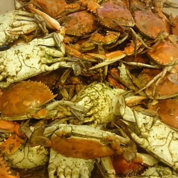 South Bethany Seafood Market - a pile of crabs - Seafood Near Me - Bethany Beach, Delaware South Bethany Seafood Market - a pile of crabs - Seafood Near Me - Bethany Beach, Delaware