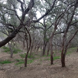 Late winter/early spring- path to the creek