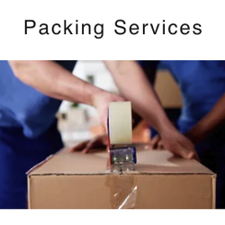 Skybox Movers - Web photo