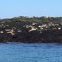Photo of Sea Watch Tours