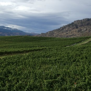 The Sonora Room - High desert behind verdant terraced vines. - Wine Bars Near Me - Oliver, British Columbia The Sonora Room - High desert behind verdant terraced vines. - Wine Bars Near Me - Oliver, British Columbia