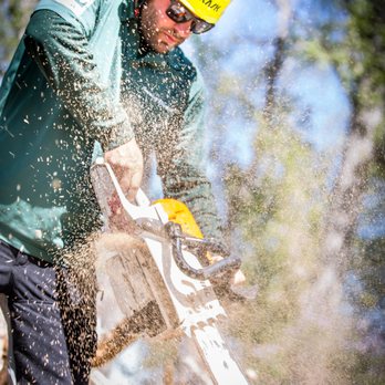 Associated Arborists - Tree Services Near Me - Mcminnville, Oregon Associated Arborists - Tree Services Near Me - Mcminnville, Oregon