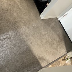 Harbor Point on the Bay - Clean carpet