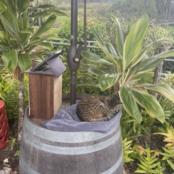 MauiWine - Wineries Near Me - Kula, Hawaii MauiWine - Wineries Near Me - Kula, Hawaii