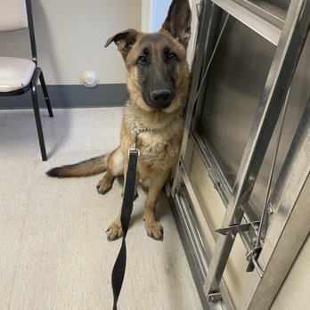 North Central Animal Hospital - Veterinarians Near Me - Phoenix, Arizona