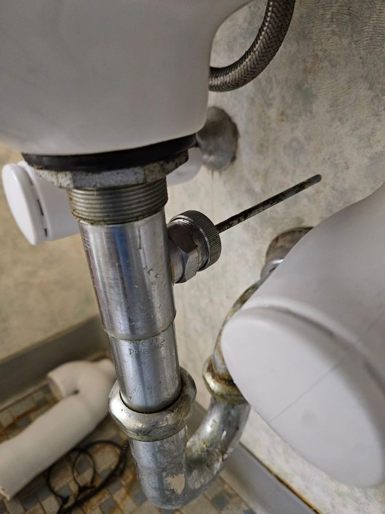 Slide of Master Rooter