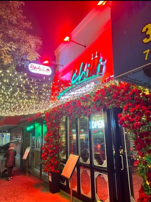 Red Chilli by null