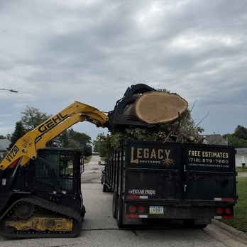 Legacy Brothers Tree Service - Tree Services Near Me - Harlan, Iowa Legacy Brothers Tree Service - Tree Services Near Me - Harlan, Iowa