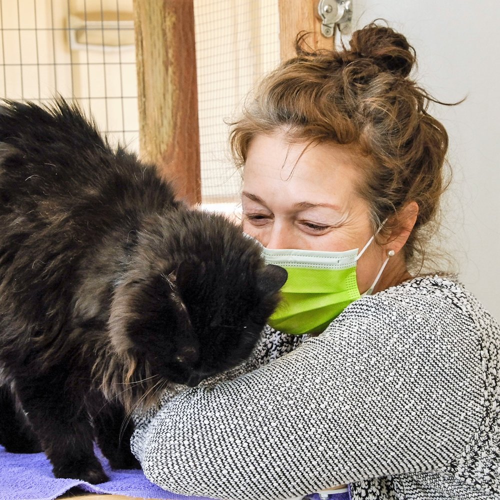 TOP 10 BEST Animal Sanctuary in Fairfield, CA - Updated 2026 - Yelp