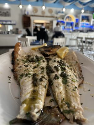 Platía Greek Kitchen by null