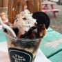 Photo of The Snack Bar Food Truck