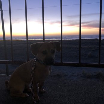 Best Western Plus Ocean View Resort - Sam approves and gives it two paws up! - Hotels Near Me - Seaside, Oregon Best Western Plus Ocean View Resort - Sam approves and gives it two paws up! - Hotels Near Me - Seaside, Oregon