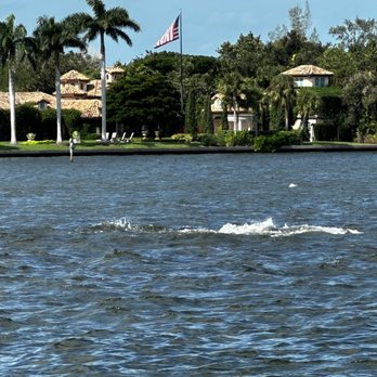 Siesta Key Watersports - Jet Skis Near Me - Sarasota, Florida Siesta Key Watersports - Jet Skis Near Me - Sarasota, Florida