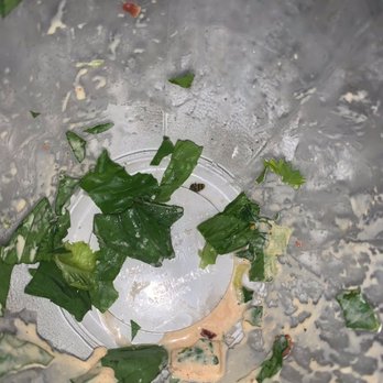 Vinaigrette Salad Kitchen - Dumped the salad out to find this - Salad Near Me - Lexington, Kentucky