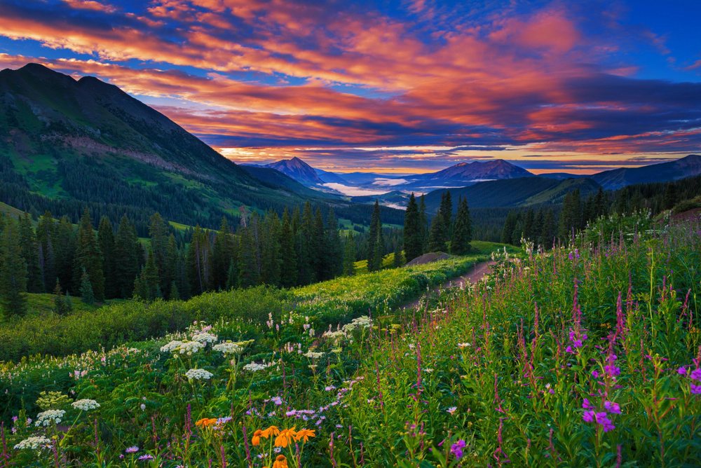 Rocky Mountain Neurobehavioral Health - grief counselor in Fort Collins, CO