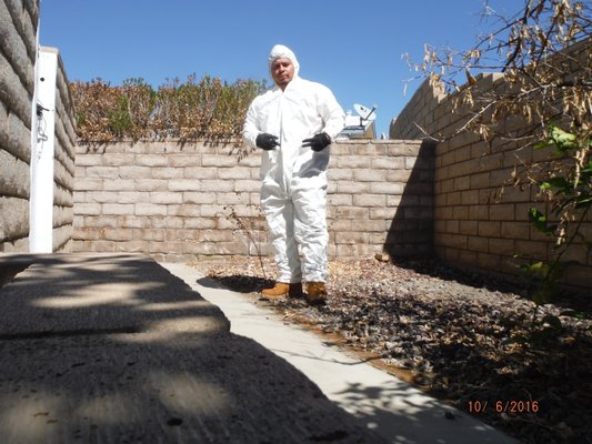 Photo of Dominguez Property Inspections - Coachella, CA, US. Jump suit on, and ready to do a crawlspace inspection under a mobile home