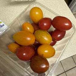 J & L Country Market