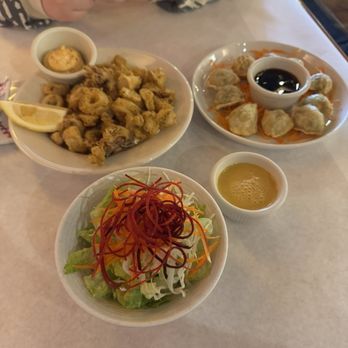 Tokio Sake - Salad, calamari, meat dumplings...amazing every time! - Japanese Near Me - Deer Park, Illinois