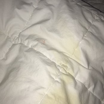 Quality Inn & Suites - Stained covers - Hotels Near Me - Matteson, Illinois