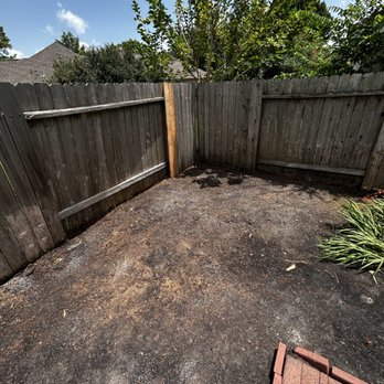 Alvarado Landscaping - Big 3 foot wide oak tree stump we grinded and got rid of ! - Tree Services Near Me Alvarado Landscaping - Big 3 foot wide oak tree stump we grinded and got rid of ! - Tree Services Near Me
