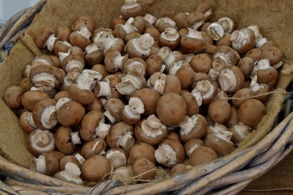 Notting Hill Farmers' Market by null