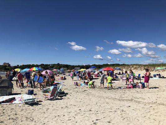 Good Harbor Beach by null