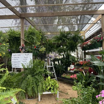 Polk's Plus - So naturally placed and displayed - Farmers Market Near Me - Pooler, Georgia