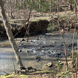 Swift Creek Greenway