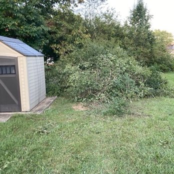 Notch’em Tree Service - Tree Services Near Me Notch’em Tree Service - Tree Services Near Me