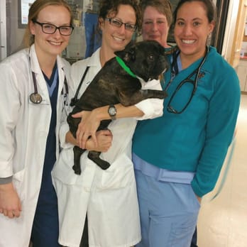 vca veterinary care animal hospital