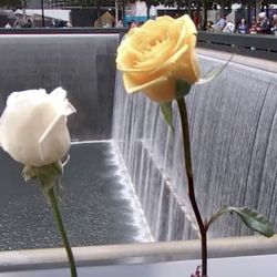 Channel 7 WABC-TV