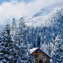 Photo of Aspen Grove Family Camp