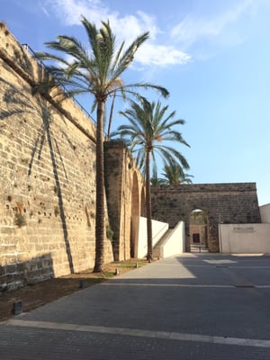 Es Baluard Museu d'Art Contemporani de Palma by null